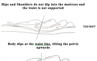A picture of the ideal sleeping posture and mattress firmness